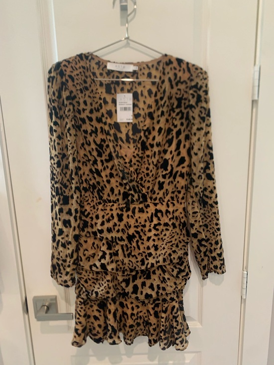 Astr Dresses & Skirts - Astr Leopard Print V-Neck Mini Dress - Tan & Black